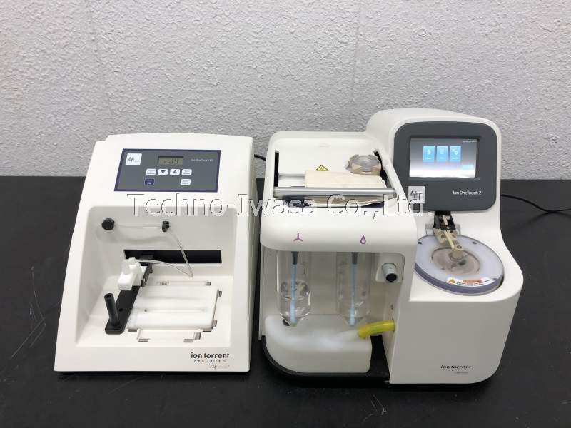 �����-Ē�������������